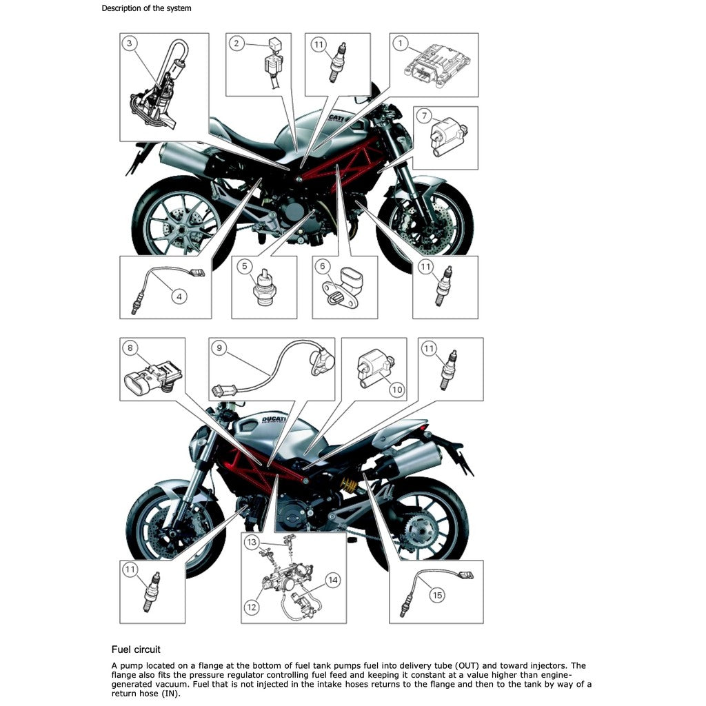 DUCATI MONSTER 796 (2010-2014) SERVICE REPAIR WORKSHOP MANUAL + PARTS CATALOGUE + OWNER'S MANUAL