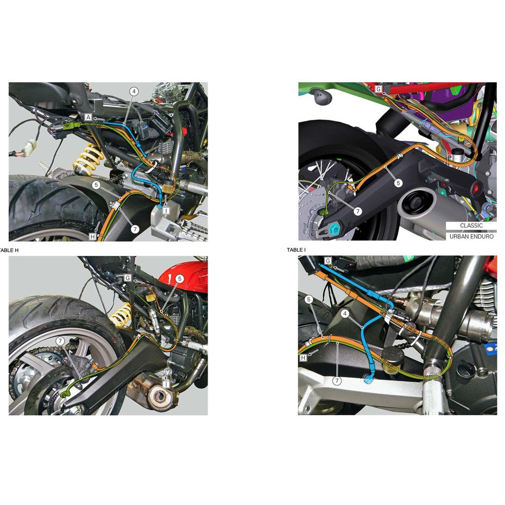 DUCATI SCRAMBLER 800 (2015-2018) SERVICE REPAIR WORKSHOP MANUAL + PARTS CATALOGUE + OWNER'S MANUAL