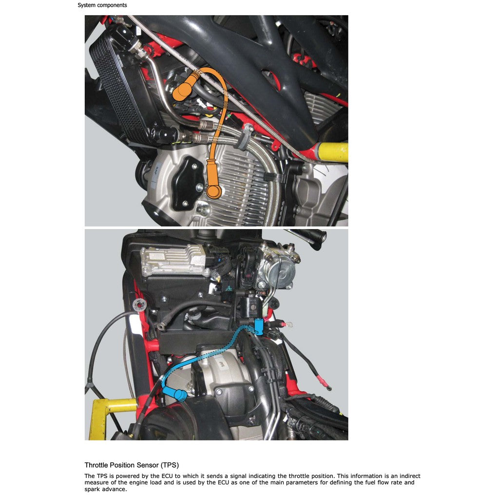 DUCATI MONSTER 796 (2010-2014) SERVICE REPAIR WORKSHOP MANUAL + PARTS CATALOGUE + OWNER'S MANUAL