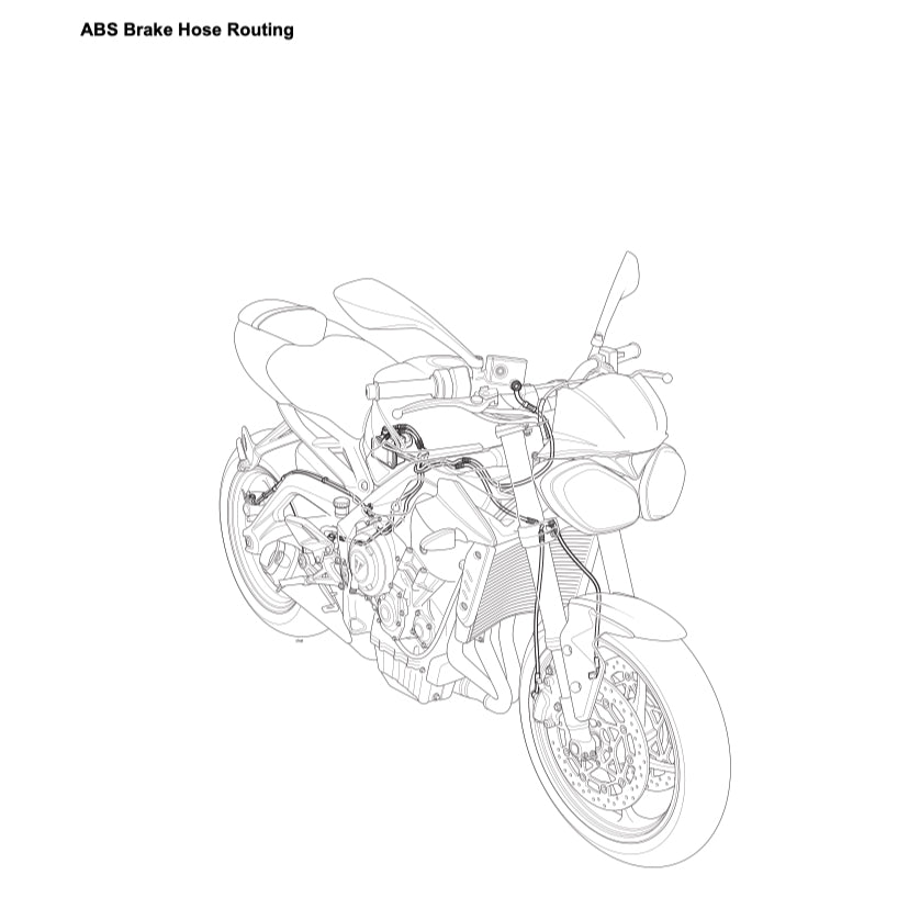 TRIUMPH STREET TRIPLE 765 RS (2018-2022) SERVICE WORKSHOP MANUAL + OWNER'S MANUAL