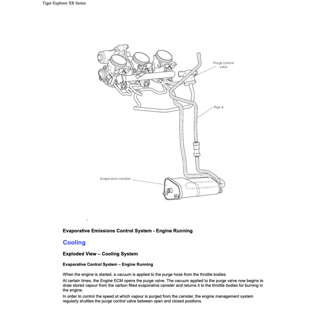 TRIUMPH EXPLORER 1200 XR/XRX/XRT (2016-2021) SERVICE WORKSHOP MANUAL + OWNER'S MANUAL