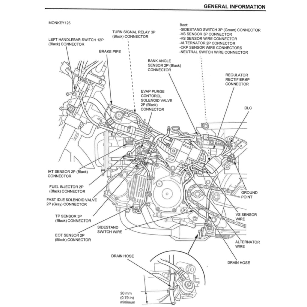 HONDA MONKEY Z125 (2019+) SERVICE WORKSHOP MANUAL + PARTS CATALOGUE + OWNER'S MANUAL