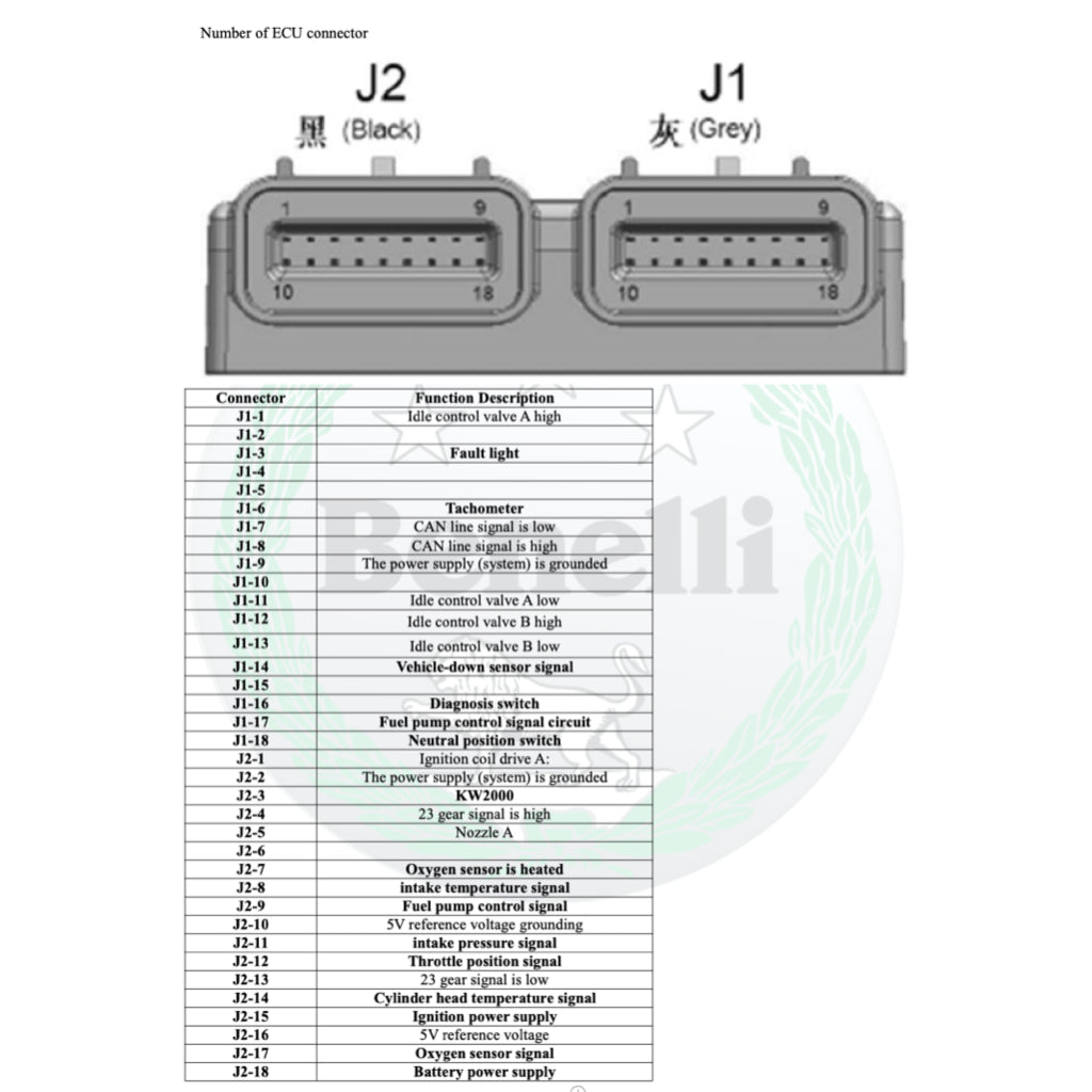 BENELLI LEONCINO BJ250 (2019+) SERVICE WORKSHOP MANUAL + PARTS CATALOGUE + OWNER'S MANUAL