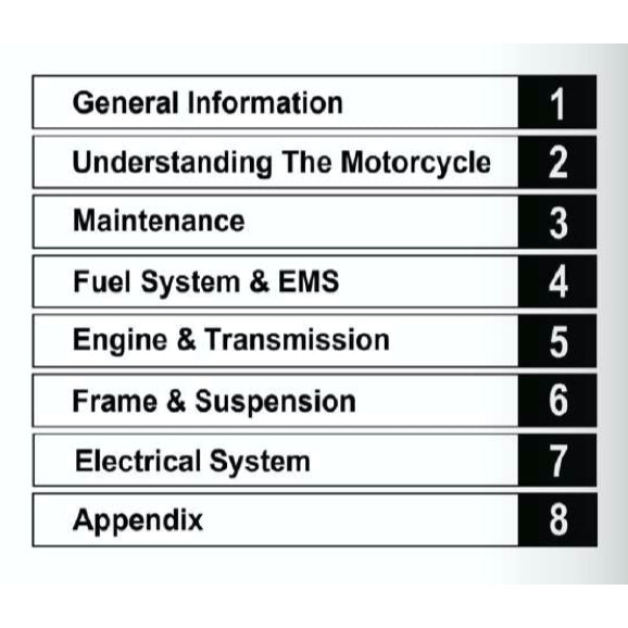 MODENAS DOMINAR 250 DM250 (2023+) SERVICE WORKSHOP MANUAL + PARTS CATALOGUE + OWNER'S MANUAL