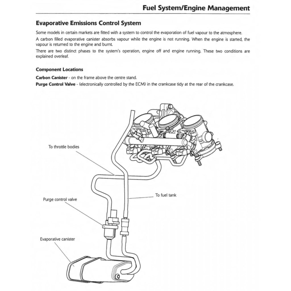 TRIUMPH TIGER EXPLORER 1200 / XC (2012-2015) SERVICE WORKSHOP MANUAL + OWNER MANUAL