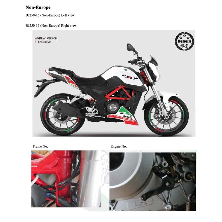 BENELLI TNT25 BN251 (2014-2017) SERVICE WORKSHOP MANUAL + PARTS CATALOGUE + OWNER'S MANUAL