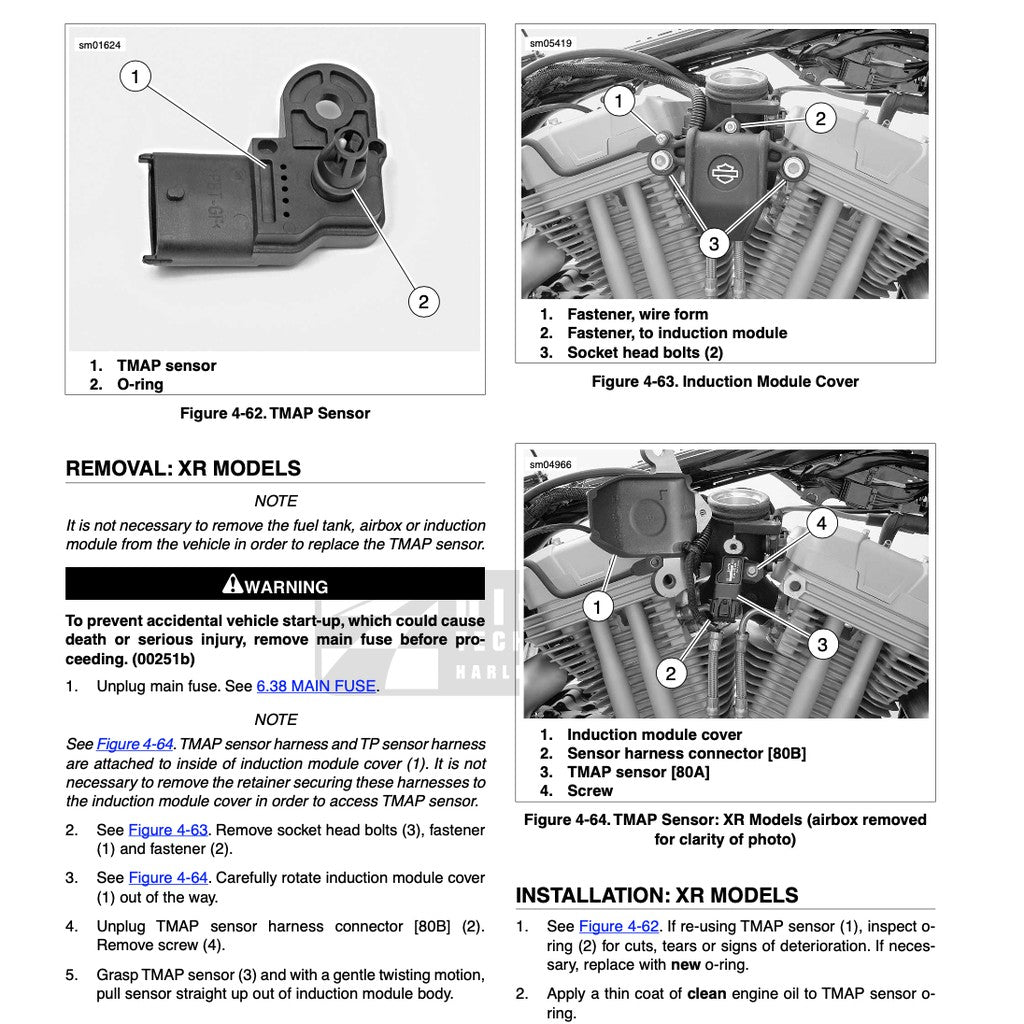 HARLEY DAVIDSON SPORTSTER MODELS (2008-2022) SERVICE MANUAL + PARTS CATALOGUE