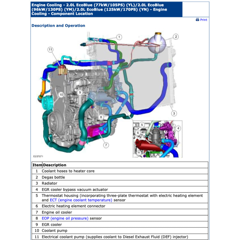 FORD RANGER T6 (2019-2021) SERVICE WORKSHOP MANUAL - ALSO CALLED RANGER "T7"