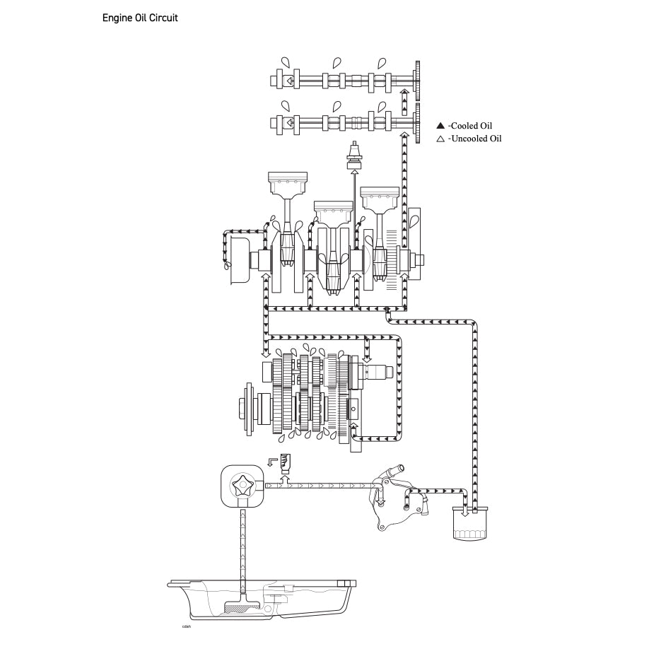 TRIUMPH TRIDENT 660 (2021+) SERVICE WORKSHOP MANUAL + OWNER'S MANUAL