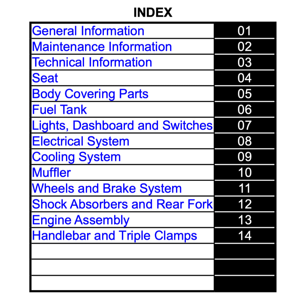 CFMOTO 300SS (2024+) SERVICE WORKSHOP MANUAL + OWNER'S MANUAL